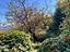 Immagine 22