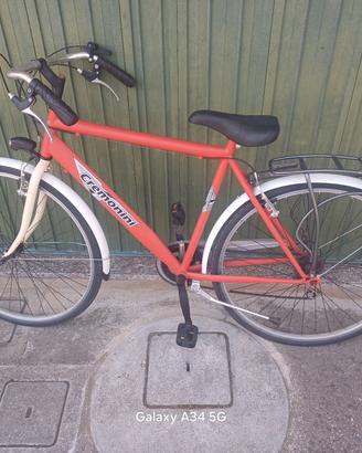 bicicletta cremonini 
