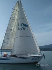 Barca a vela 7 metri Jouet Calife 23