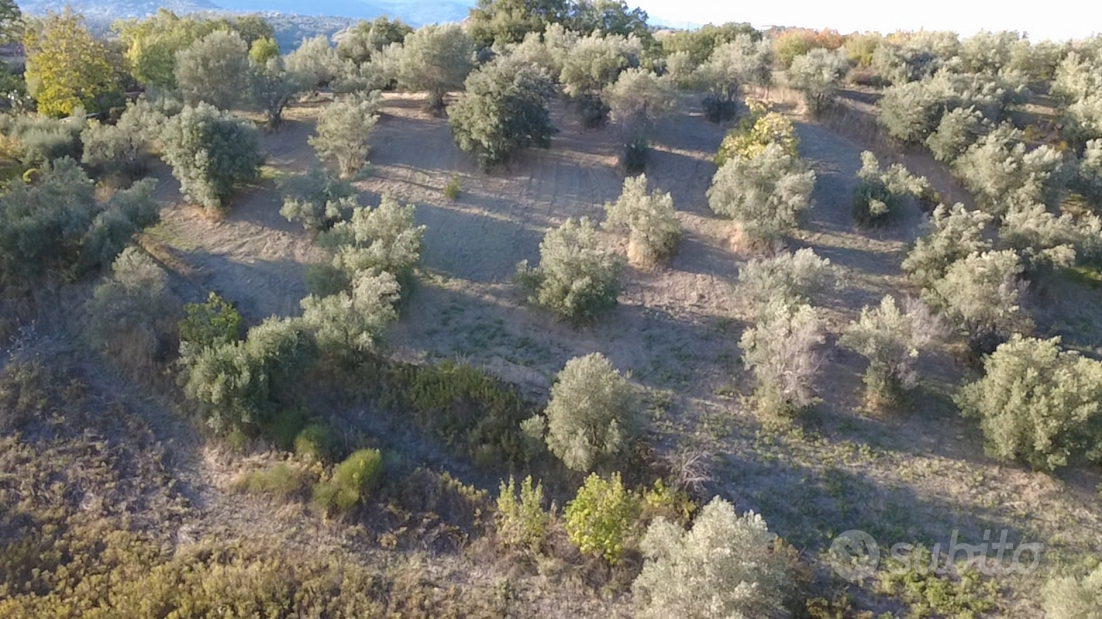 Terreno agricolo edificabile - Altro