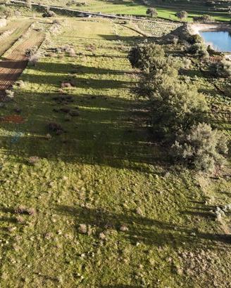 Terreno - Caltagirone