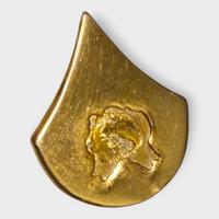 pin spilla metallo SPC gradi galloni militari amer