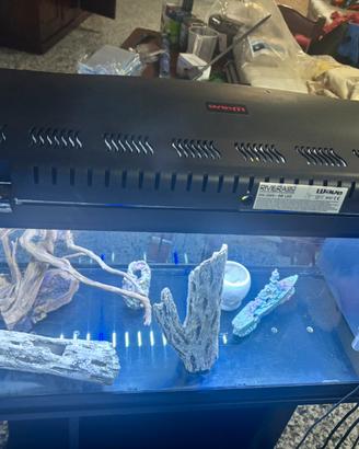 Acquario come nuovo 80€trattabile