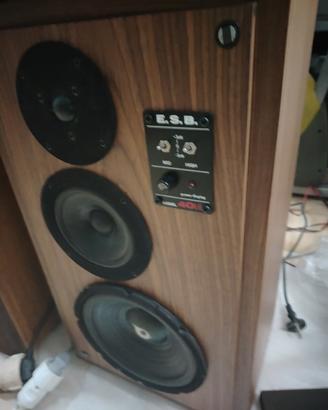 Diffusori Acustici ESB 40 LD. 