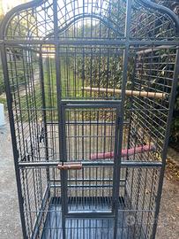 gabbia per pappagalli