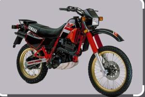 xt600