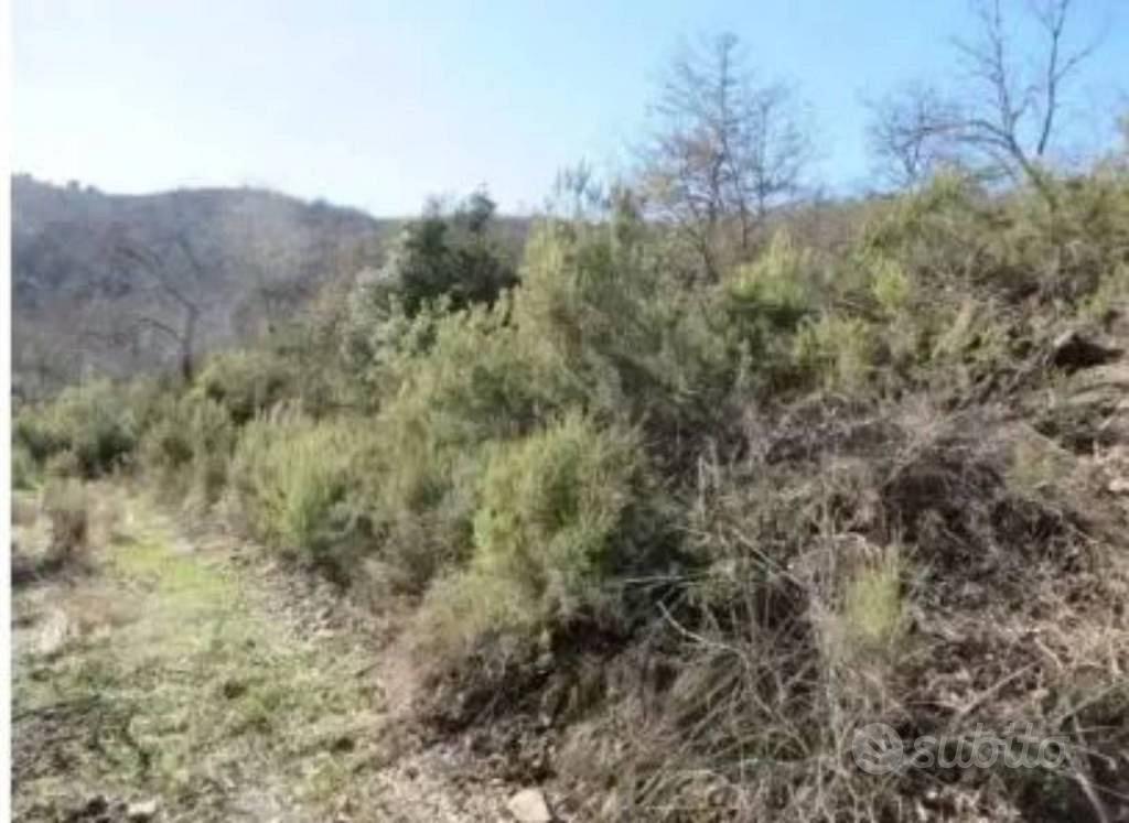 Immobile in asta di 69510 m² a Monte San Savino - Vista 3