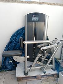 Life fiteness low row upper back