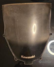 Cupolino Kawasaki Ninja