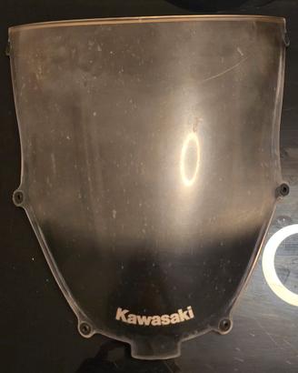 Cupolino Kawasaki Ninja