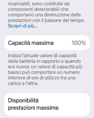iPhone 14 ProMax 256 GB - Batteria 100%