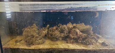 Acquario Marino vasca sump roccia tecnica