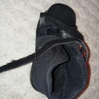 Sanitaria