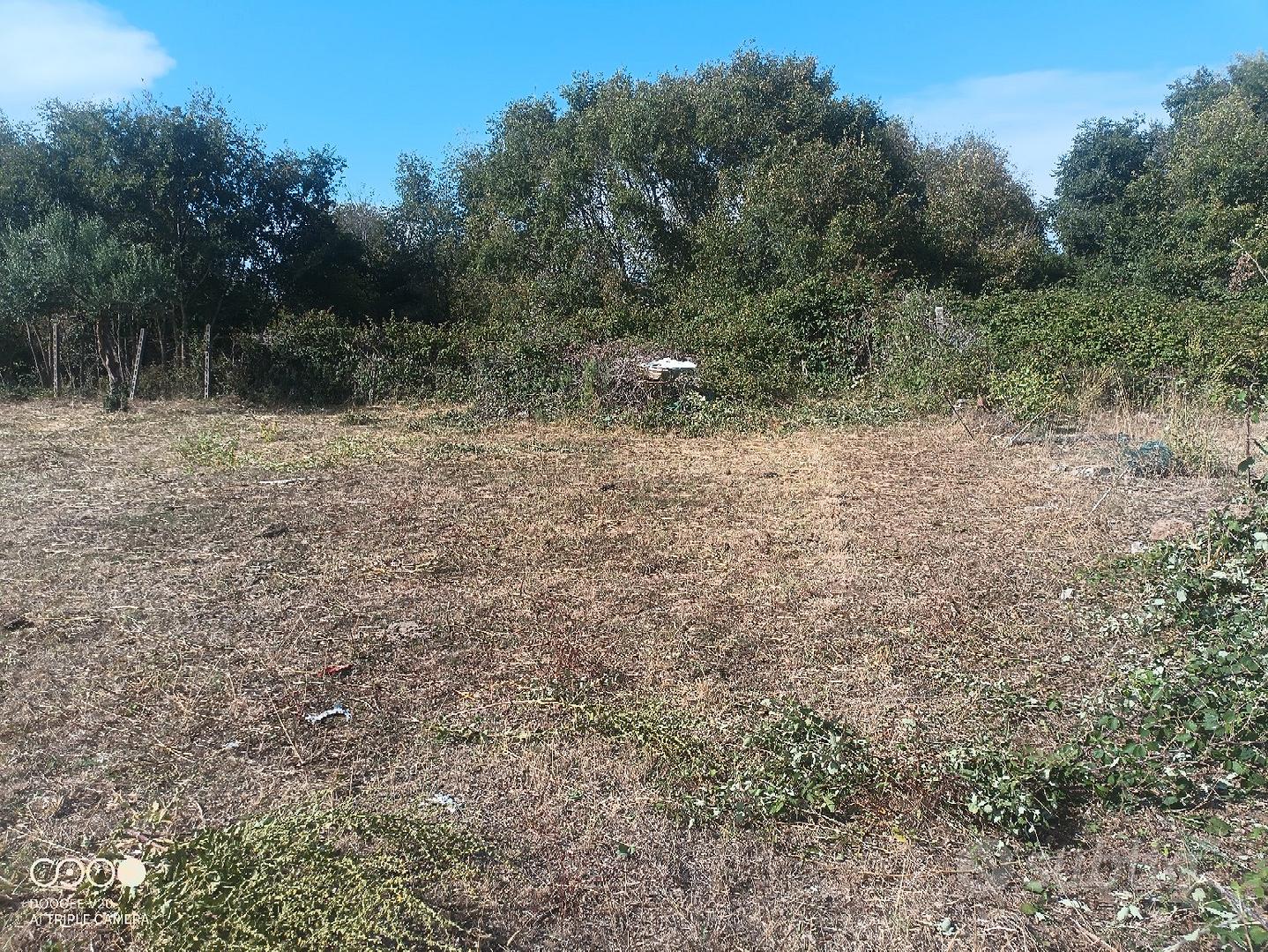 terreno agricolo - Vista 2