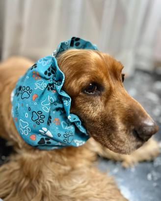 Snood Paraorecchie Cocker Regolabile in Cotone