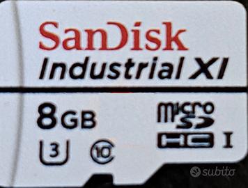 MicroSD HC industrial Kingstone e SanDisk