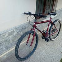 bicicletta 26
