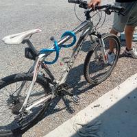 bicicletta olimpia 