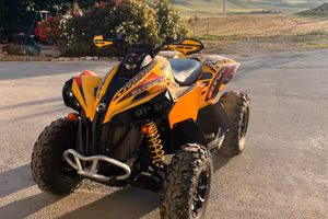 Can am renegade 800R