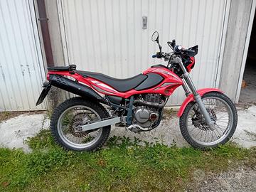 beta alp 4.0