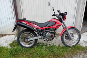 beta alp 4.0