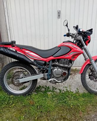 beta alp 4.0