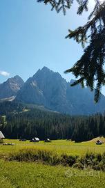 Vacanze estive a Cima Sappada