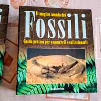 Il Magico mondo dei Fossili