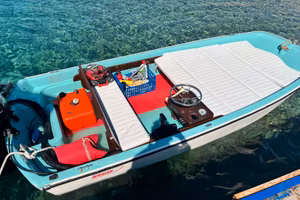 Boston Whaler 13 Sport