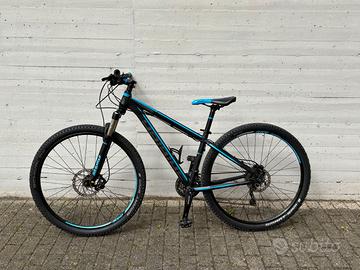 Mountain Bike Haibike Big Curve 9.60 - Ruote 29"