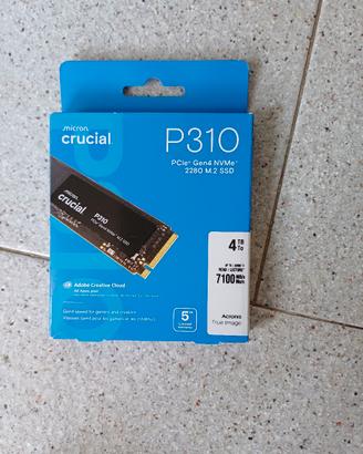  crucial p310 