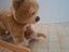 Immagine 1