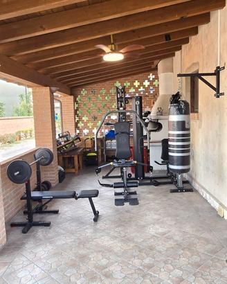 palestra multifunzione Torus 5 con press / row 