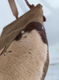 Borsa donna tracolla/spalla