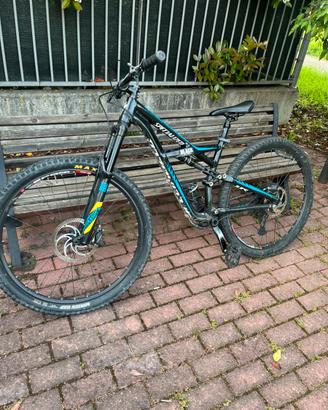 specialized