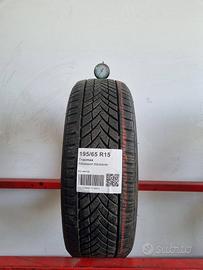 Gomme Usate Tracmax 195 65 15 Guarda Catalogo