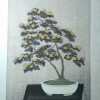Japanese Woodblock Print UCHIDA ART BONSAI