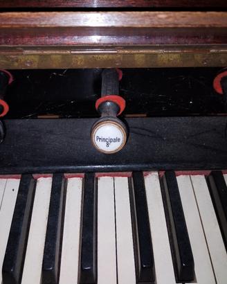 organetto
