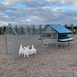 Pollaio in Ferro Araucana PLUS | Con Recinto