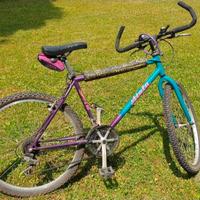 Bicicletta mountain bike