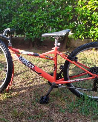 bicicletta Phoenix Red  per ragazzi