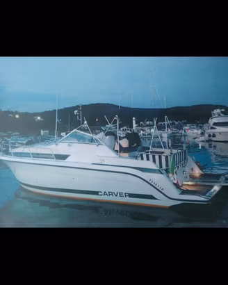 Carver 528