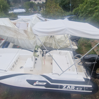 Zar 43 con suzuki 40/60
