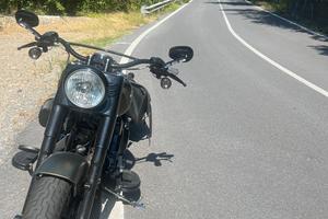 Harley Davidson softail slim S