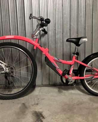 WeRide Co-Pilot rimorchio bici