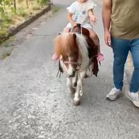 Mini pony femmina