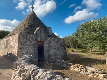 Trullo + uliveto