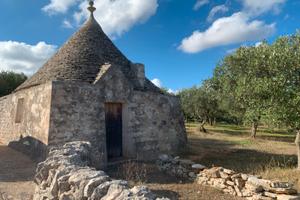 Trullo + uliveto