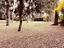 Immagine 17