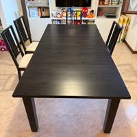 Tavolo allungabile e 8 sedie Ikea